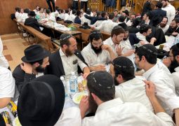 הגלריה השבועית - שבוע פרשת אמור ב-770